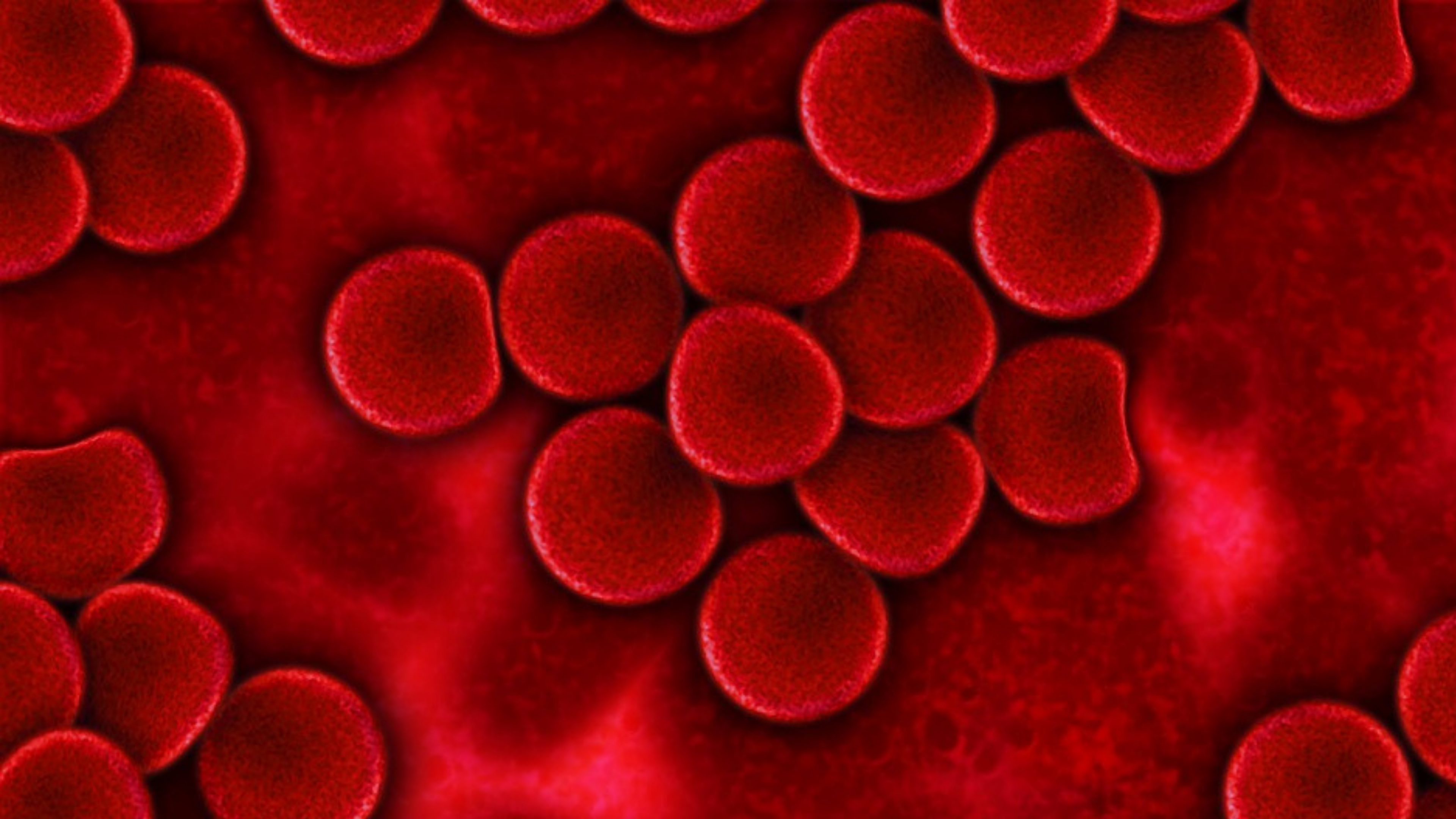 Platelet Rich Plasma oder auch PRP genannt ist ein Blut-Transplantations Produkt in welchem Plasma respektive die darin enthaltenen Thrombozyten zu verschiedenen regenerativen Zwecken verwendet werden kann. 

