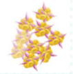 Darstellung von Millifet vom Lipocube™ Nanocube™