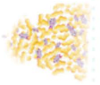 Darstellung von Nanofett vom Lipocube™ Nanocube™
